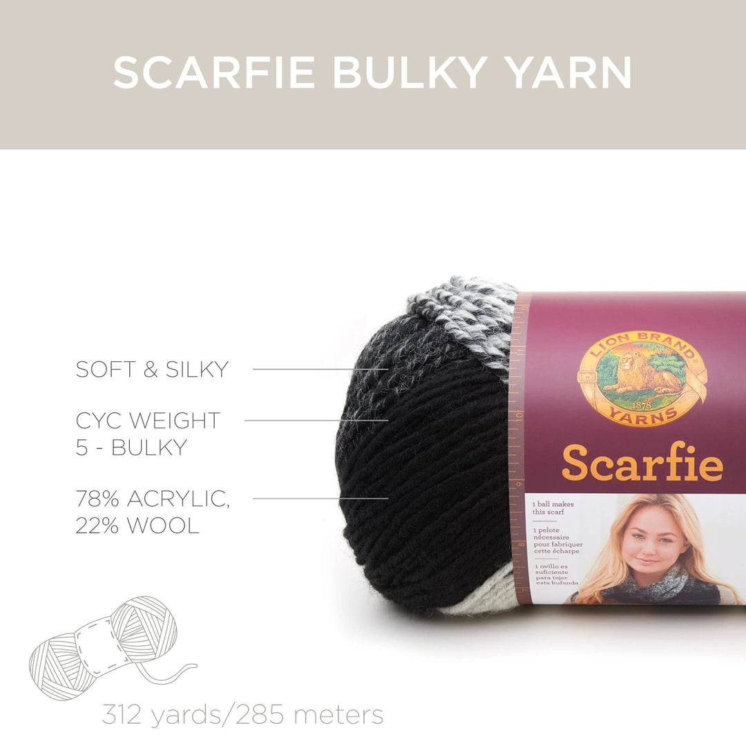 (1 Skein) Scarfie Bulky Yarn, Cranberry/Black