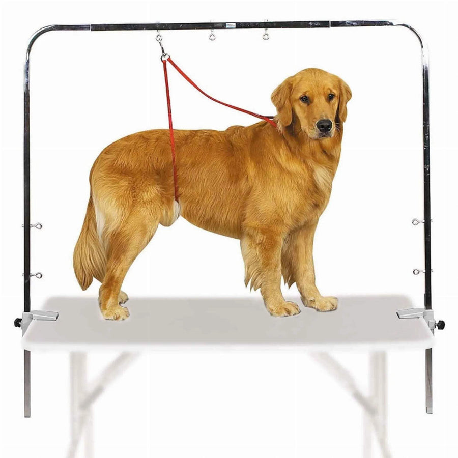 Zinc-Plated Steel Overhead Pet Grooming Arm (Designed to fit tables 36 to 48 in length),Grey