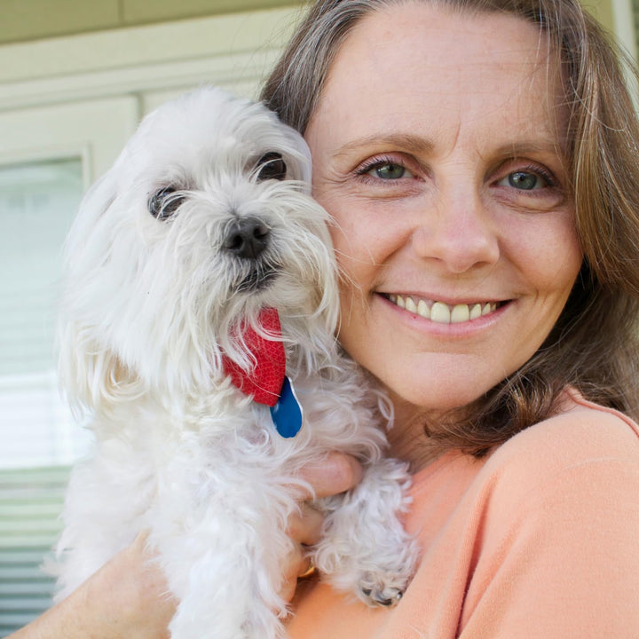 | Tear Stain Remover Comb for Dogs - Extra Fine Tooth Rake Gently &amp; Effectively Gets Rid of Crust, Mucus, and Gunk Around Your Shih Tsu or Maltese Blue