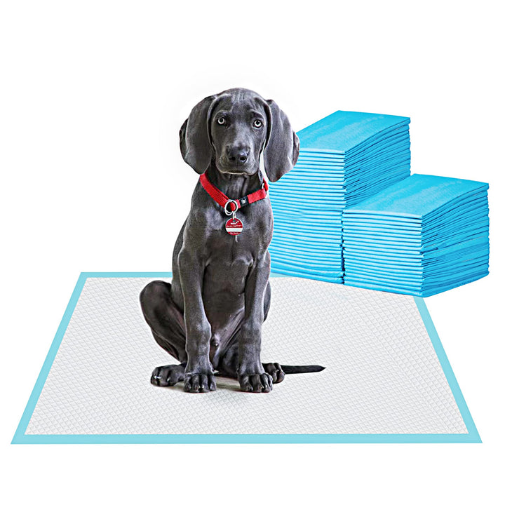 Large Pet Training and Puppy Pads Pee Pad for Dogs 24x24-80 Count Super Absorbent &amp; Leak-Proof