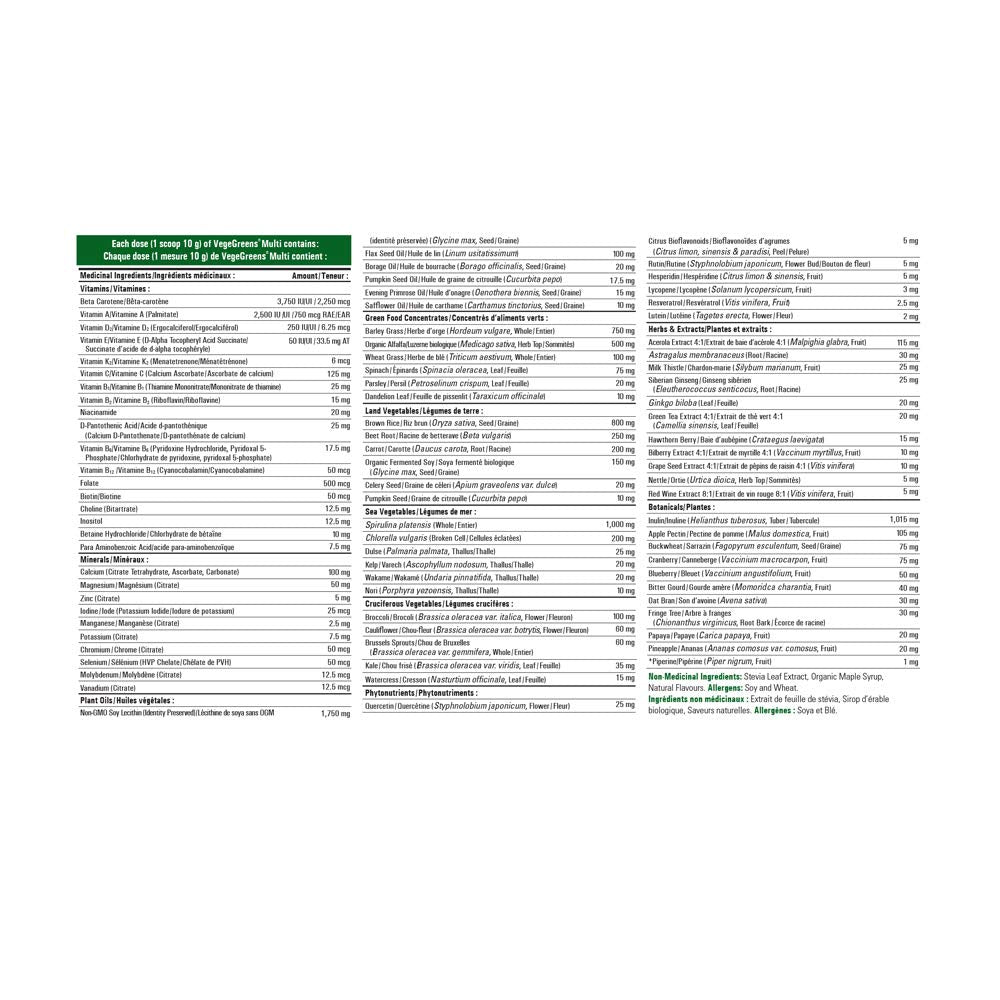 PROGRESSIVE VegeGreens Multi (Blueberry - 500 Gr)