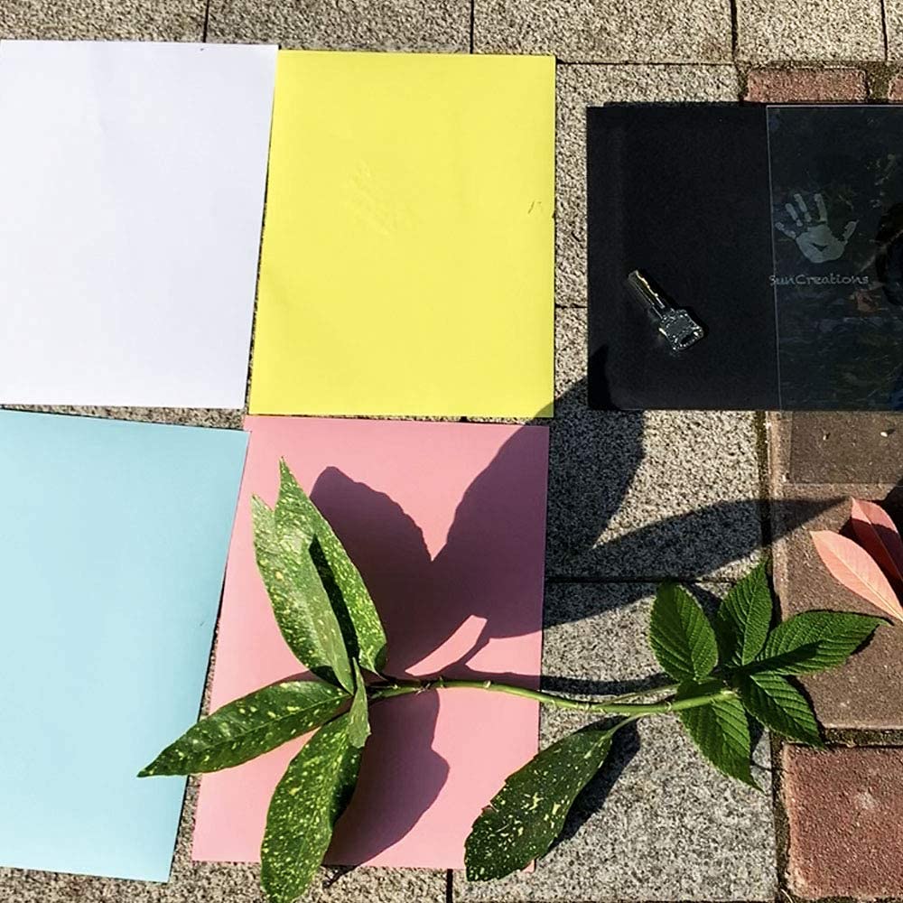 SunCreations Cyanotype Paper, High Sensitivity Sunprint Nature Printing Paper,8.2&#39;&#39; x 11.4&#39;&#39; A4 12-Sheets Sun/Solar Activated (Yellow Back)