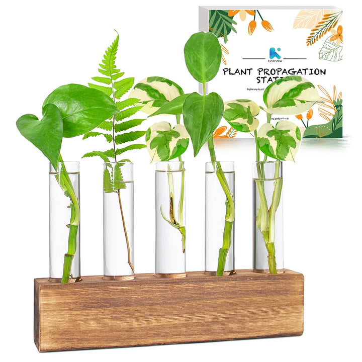 KAXYEW Plant Propagation Station, Plant Propagation Tubes, Gifts for Plant Lovers, Plants Cutting Holder Office Desk Garden Décor Gifts for Her Mom Women Hydroponic Vase Gift Box
