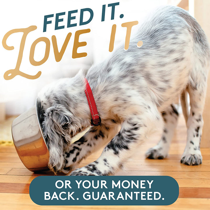 Well-Blend All Natural Vegetarian Omega Superfood Dog &amp; Cat Supplement - Healthy Skin, Coat &amp; Digestion - 1lb