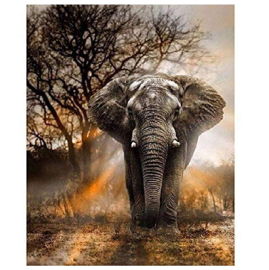 Paint by Number Elephant DIY Painting Paint by Number Kit for Kids Adults DIY Canvas Painting by Numbers Acrylic Painting Arts Craft for Home Wall Decoration Paint by Numbers Elephant 16x20 In