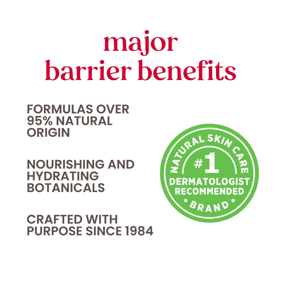 Burt&#39;s Bees Detoxifying Charcoal Sheet Mask, 6 Count