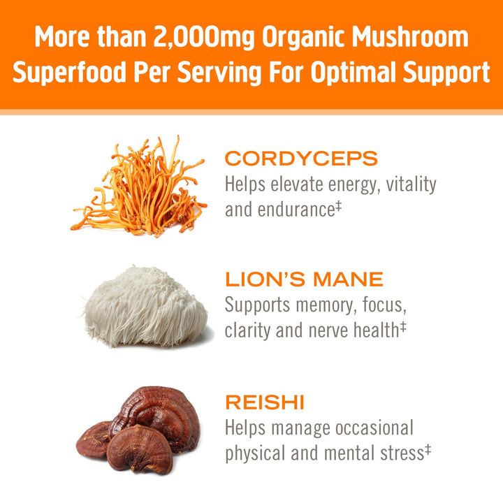 OM MUSHROOM SUPERFOOD Energy Plus Mushroom Powder Drink Mix, Citrus Orange, 7.05 Ounce, 32 Servings, Mushroom Blend, Cordyceps, Yerba Mate, Tumeric, Vitamin B Complex, Pre-Workout, Immune Supplement