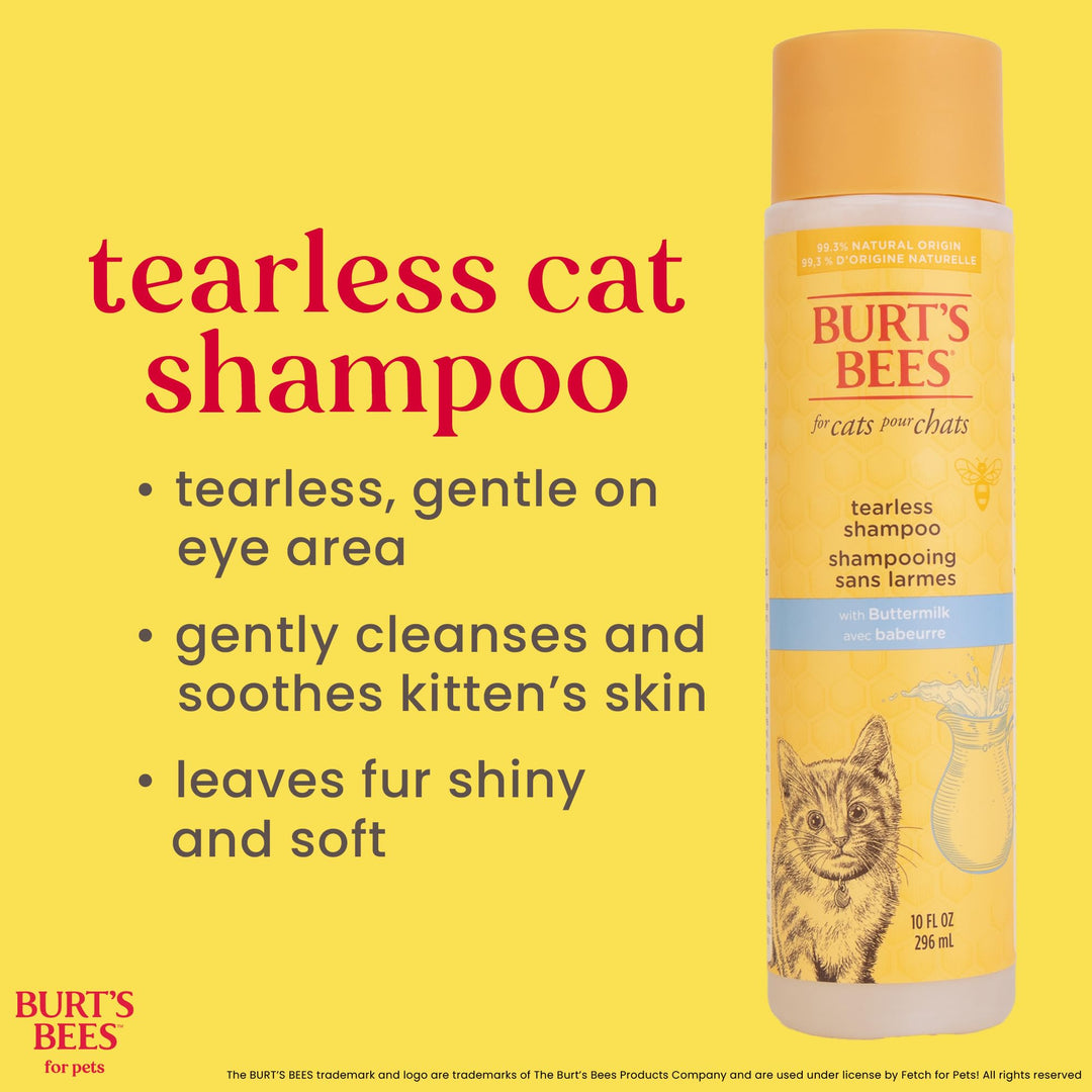 Burt&#39;s Bees for Pets Tearless Kitten Shampoo with Buttermilk, 99.3% Natural Origin Formulas, Pet Shampoo for Cats, Gentle Cat Shampoo, Cat Shampoo for Itchy Skin, 10 oz