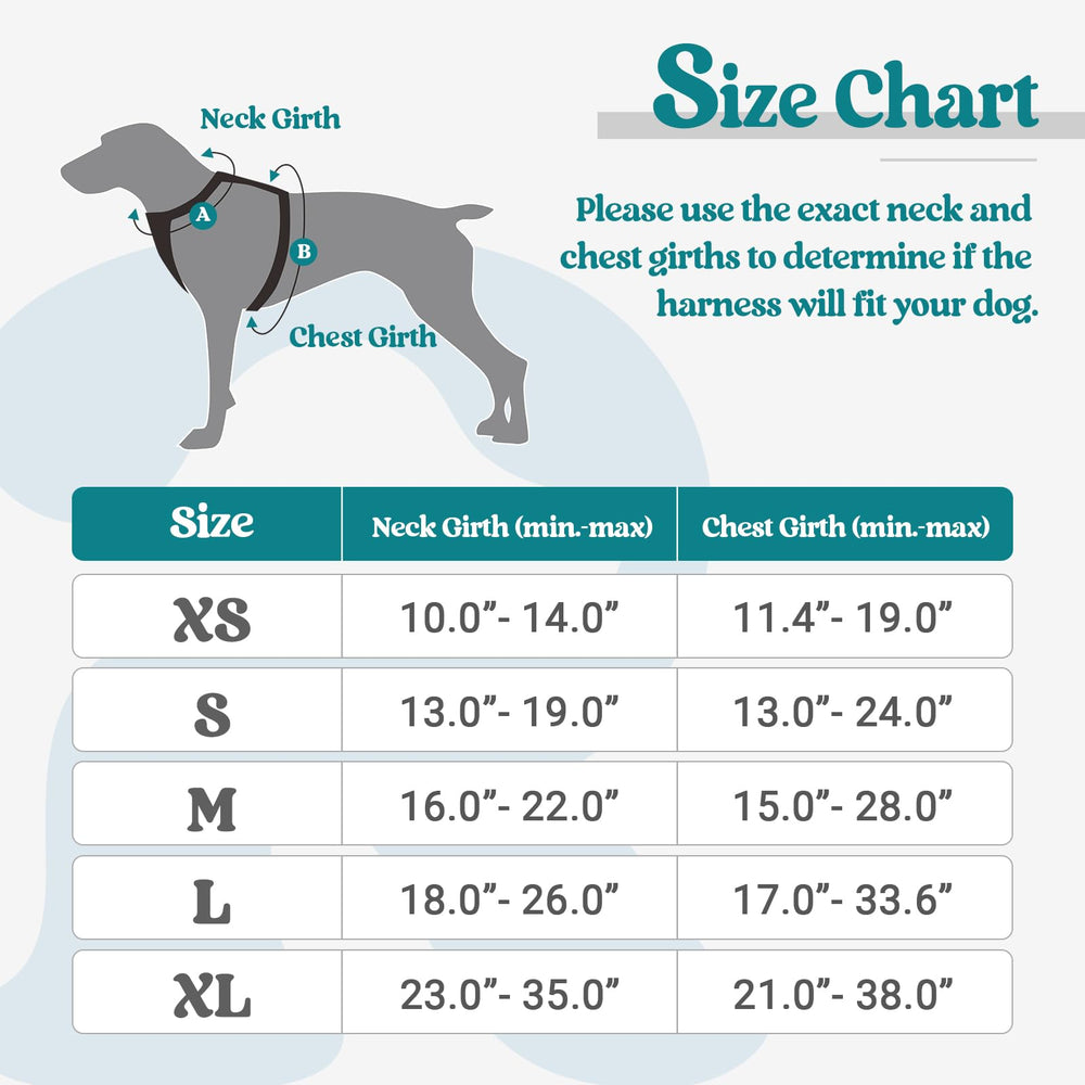 Dog Harness No Pull with 2 Leash Clips, Adjustable Soft Padded, Reflective Oxford No Choke Pet Vest with Easy Control Handle for Medium Sized Dogs, Blue Coral, M