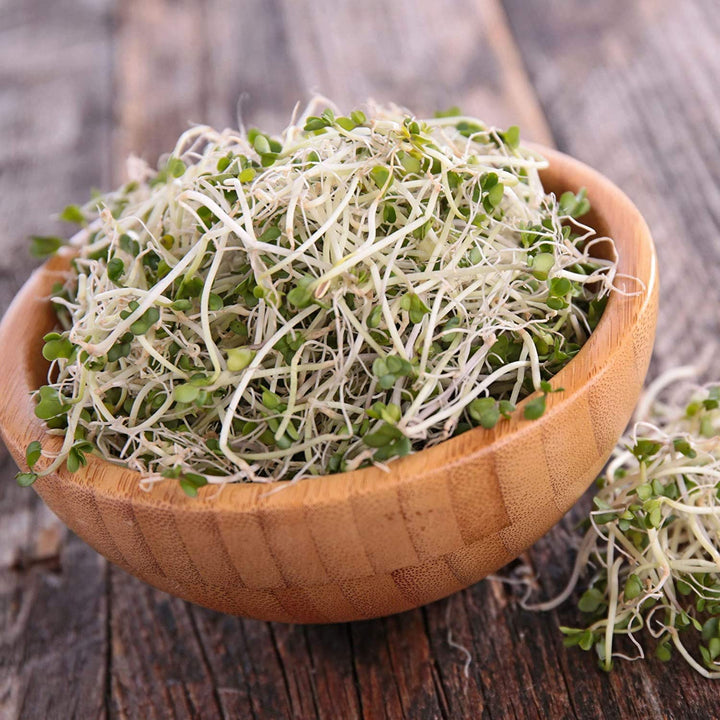 Broccoli Sprouts Seeds Organic- 1 Lb - Non-GMO Organic Broccoli Seeds for Sprouting, Microgreens Sprouting Seeds, Contain Sulforaphane
