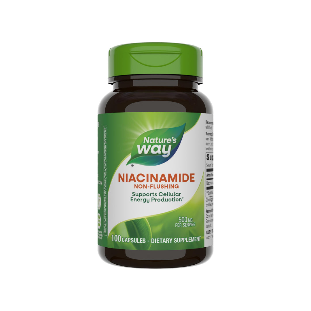 Nature&#39;s Way Niacinamide, Non-Flushing Vitamin 