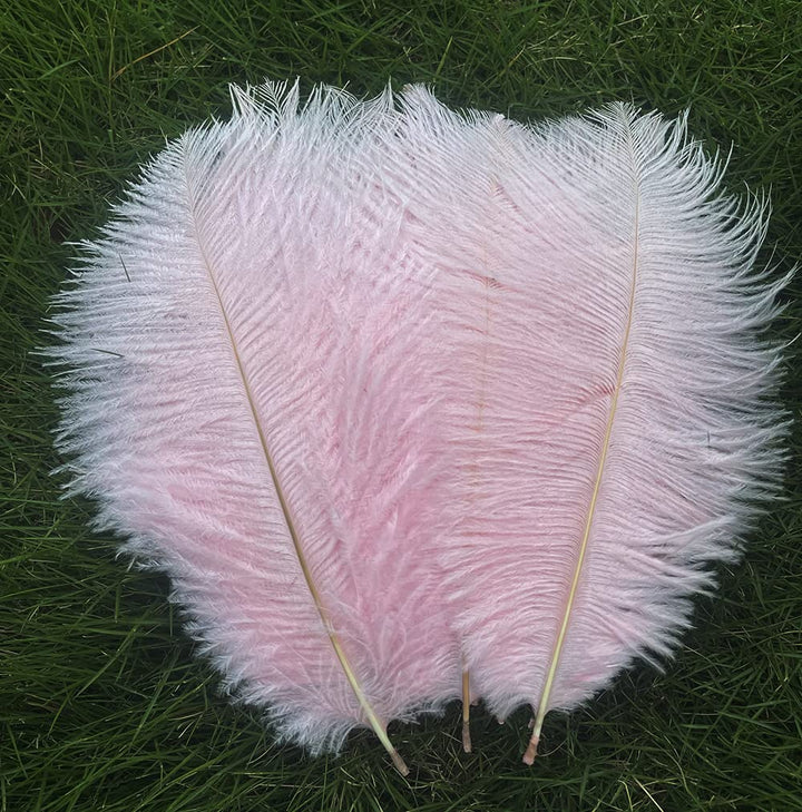 Lampu Ostrich Feathers 8-10 inch/20-25cm for Wedding Centerpieces Home Decoration Pack of 10 (Light Pink)