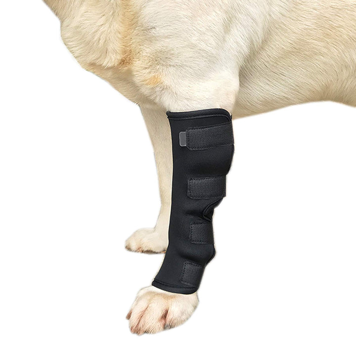 Alfie Pet - Jaelin Dog Rear Leg Hock Braces - Color: Black, Size: XL