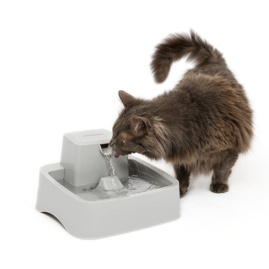Oasys 1/2 Gallon (64 Ounce) Small Pet Fountain - Small Dog and Cat Water Fountain - Dishwasher Safe Filtered Water Dispenser with Flow Control - Easy to Clean - Filters Included