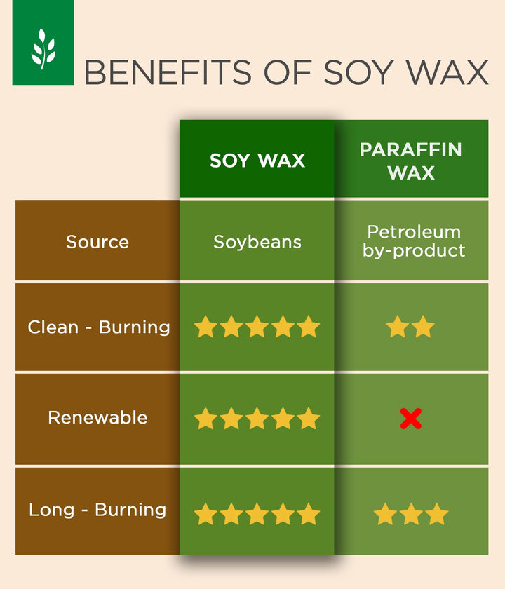 ™ Naturesway™ Nag Champa Odor Eliminating Scented Candle for Home - Non-Toxic, Long Lasting, All Natural Soy Wax Candle - 12.5 Ounce Jar with Lid - Handmade in The USA