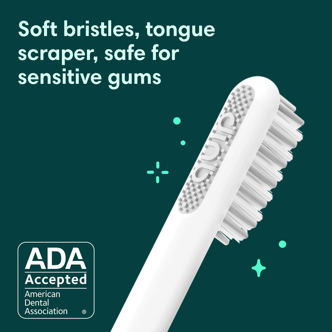 Quip Sonic Toothbrush for Adults - Timed Electric Tooth