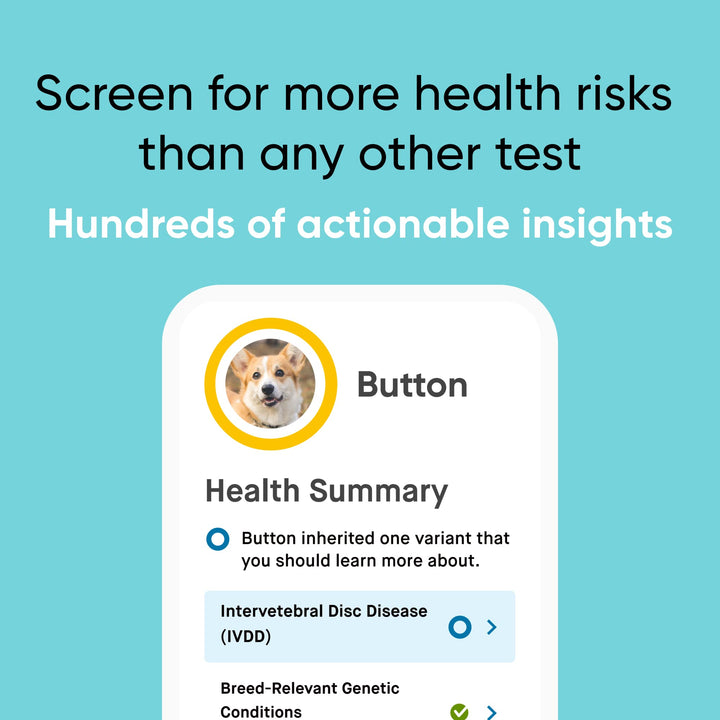 Purebred Kit - Dog DNA Test - Health, Traits, Genetic Diversity Score (COI), Breed Confirmation