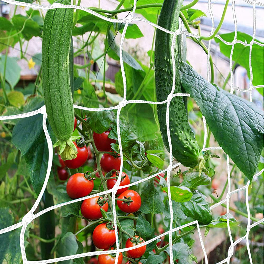 Trellis Netting, Heavy-Duty Garden Plant Trellis Netting for Climbing Plants, Outdoor Indoor Grow Net for Beans Tomatoes Peas Pumpkin Flowers, 6x15ft, 1 Pack