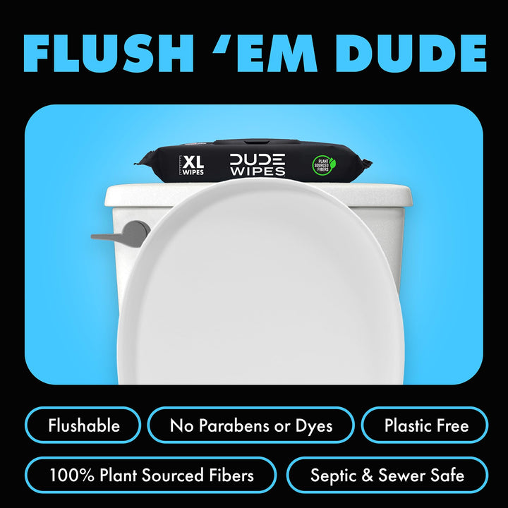 DUDE Wipes Flushable Wipes - 1 Pack, 48 Wipes - Unscented Extra-Large Wet Wipes with Vitamin-E &amp; Aloe for at-Home Use - Septic and Sewer Safe