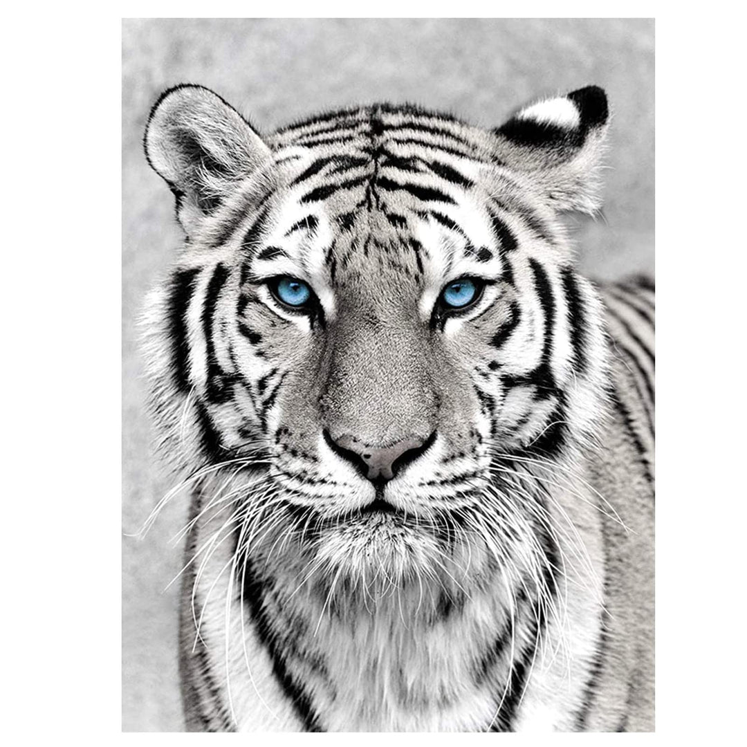 NAIMOER Tiger Diamond Art Kits for Adults,5D Diamond Ar