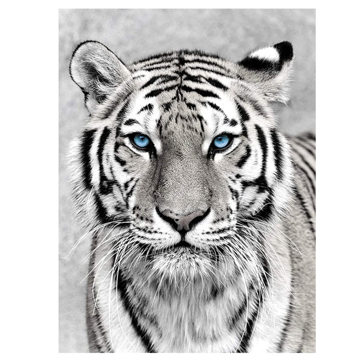 NAIMOER Tiger Diamond Art Kits for Adults,5D Diamond Ar