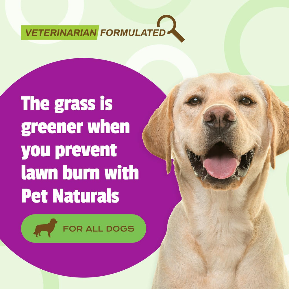 Lawn Aid Dog Urine Neutralizer for Lawn - 60 Chicken-Flavored Chews - Healthy Dog Treats for PH Balance in Urine Maintain Green Grass and Support Bladder & Urinary Tract Healthâ€‹