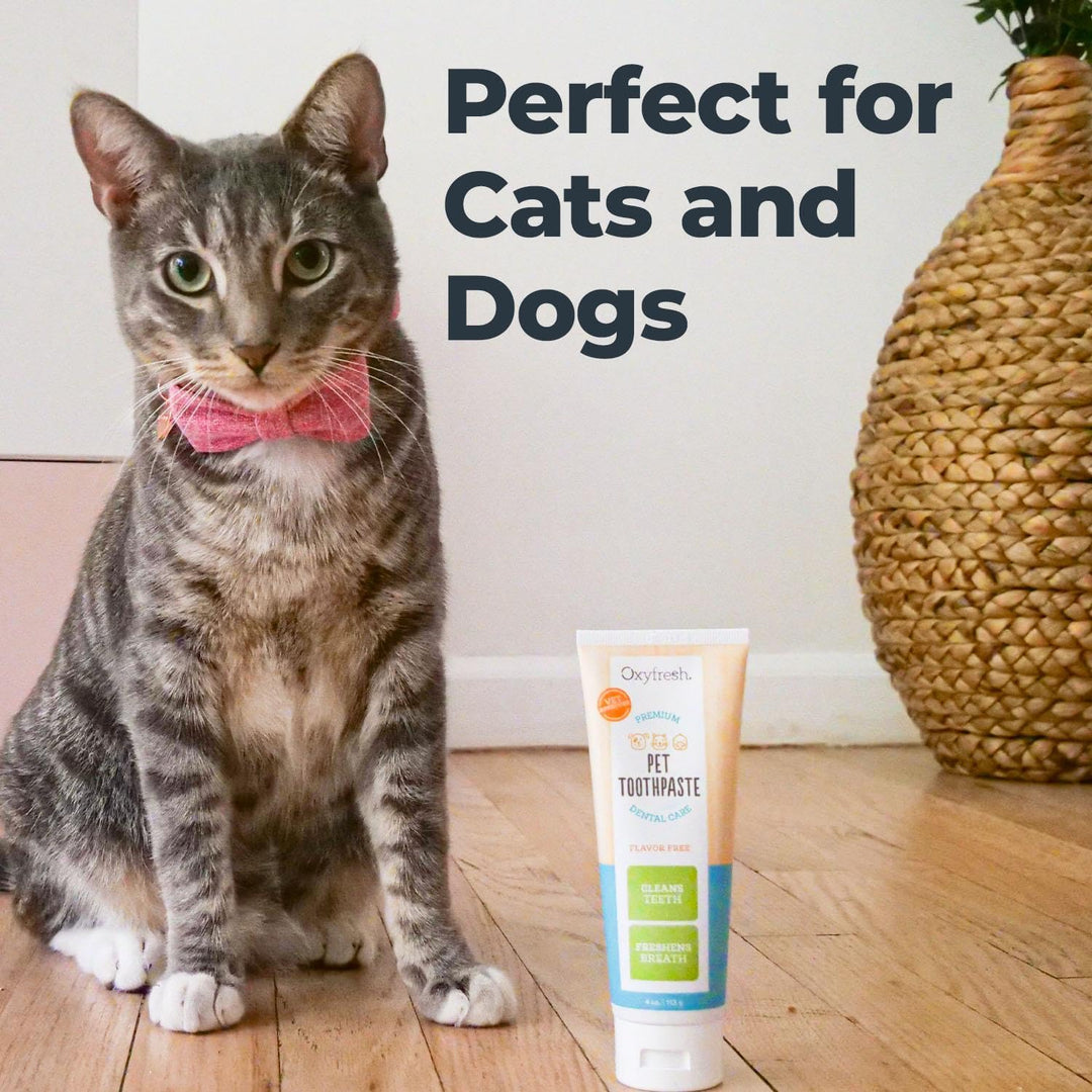 Oxyfresh Premium Dog Toothpaste – Best Dog Teeth Cleani