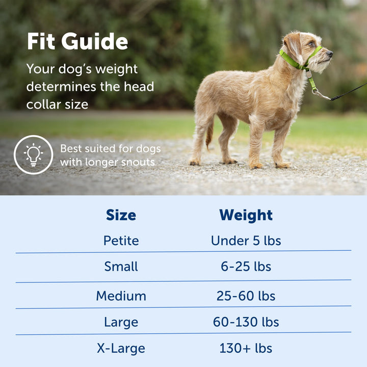 Gentle Leader No-Pull Dog Headcollar - The Ultimate Solution to Pulling - Redirects Your Dog&#39;s Pulling for Easier Walks - Helps You Regain Control - Small, Raspberry Pink,1 Count (Pack of 1)