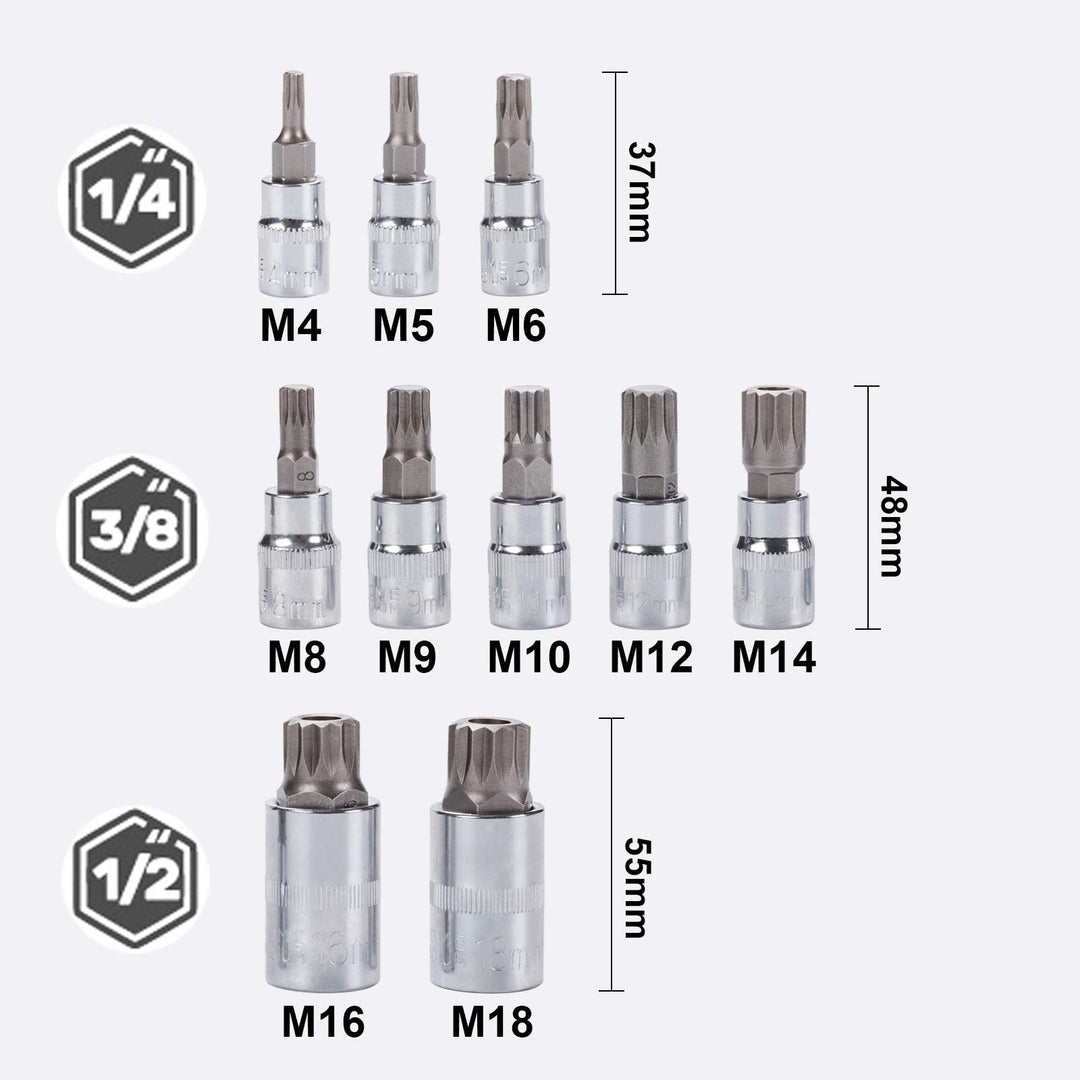 Spline Socket Bit Set 10pcs Square Triple Silver M4 - M18