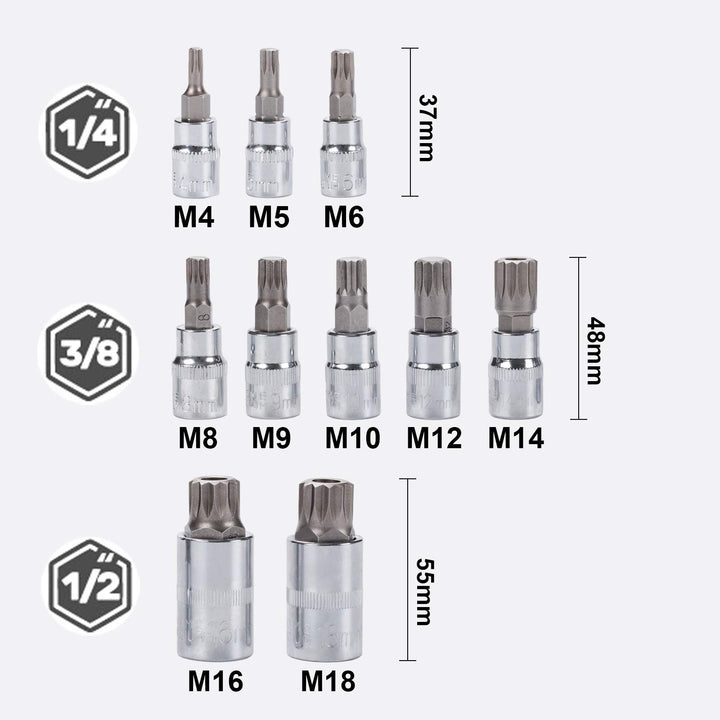Spline Socket Bit Set 10pcs Square Triple Silver M4 - M18
