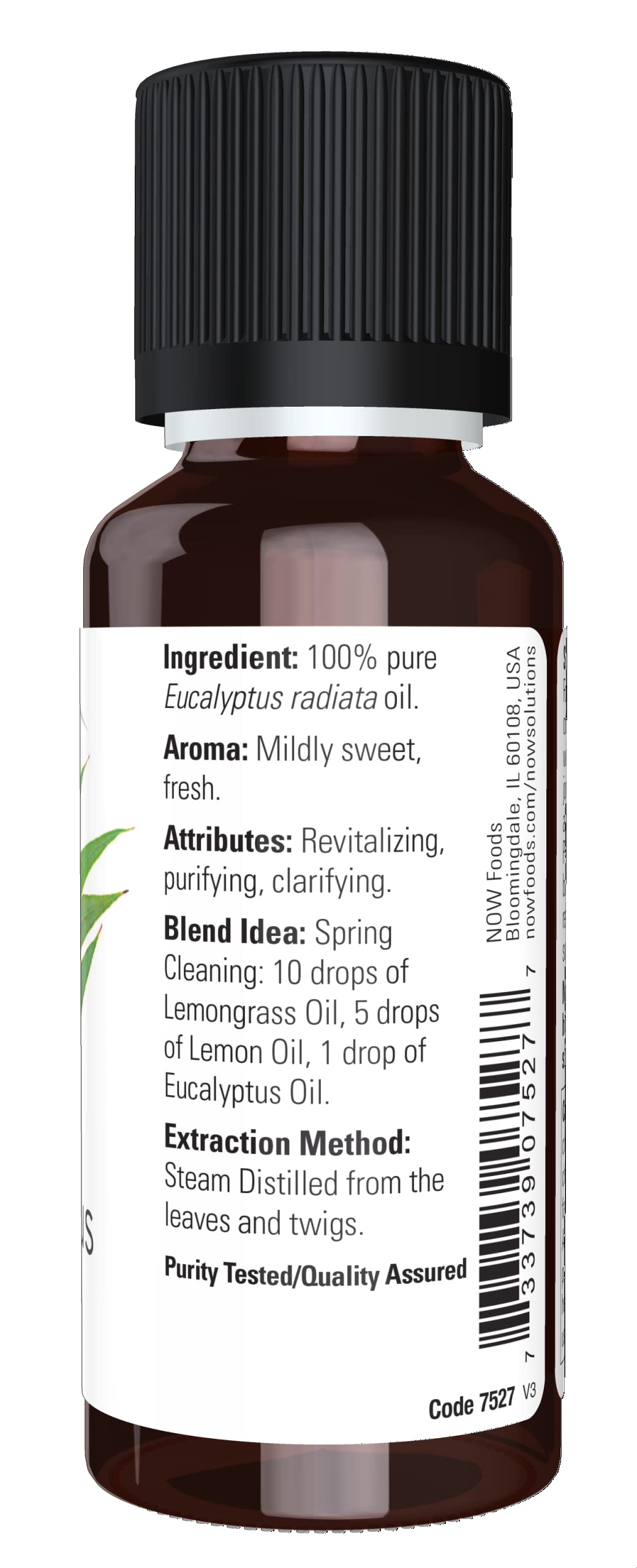 NOW Essential Oils, Eucalyptus Radiata Oil, Revitilizin