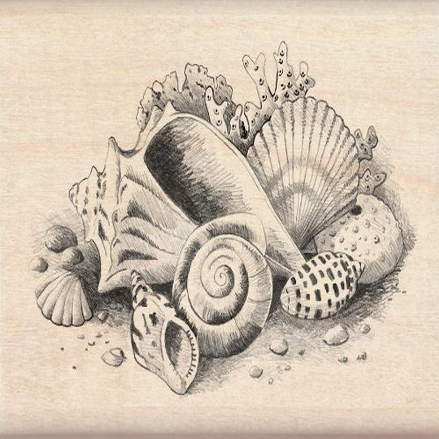 Beach and Shell Wood Stamp for Card Marking and Scrapbooking, 3'' W x 2.25'' L