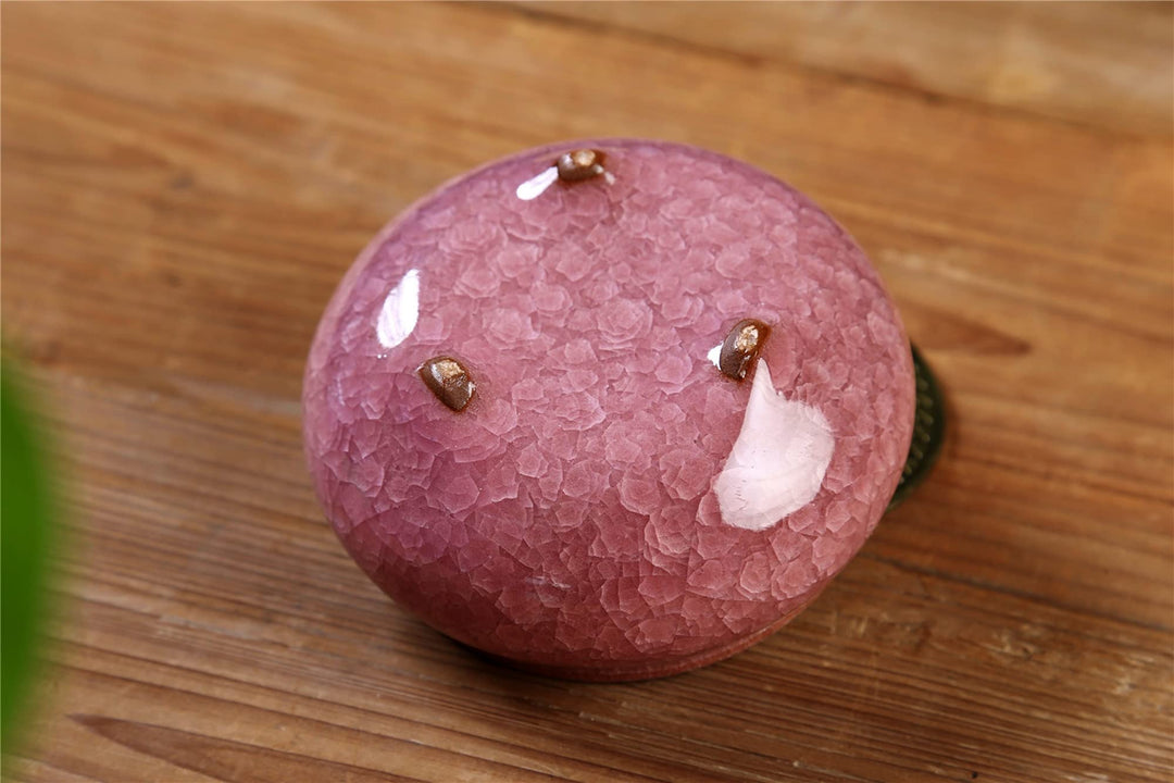 Censer Sky Blue Incense Burner with Calabash Incense Stick Holder - Porcelain Charcoal Censer for Use with Resin Granular Powder Cone or Coil Incense (Violet)