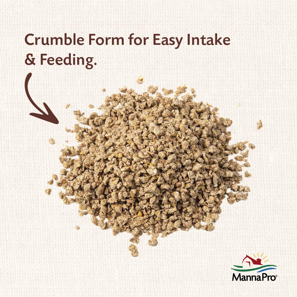 Manna Pro All Flock with Probiotics Crumble | Formulated with Vitamins and Minerals to Support a Balanced Diet | 8 Pounds