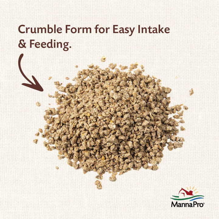 Manna Pro All Flock with Probiotics Crumble | Formulated with Vitamins and Minerals to Support a Balanced Diet | 8 Pounds