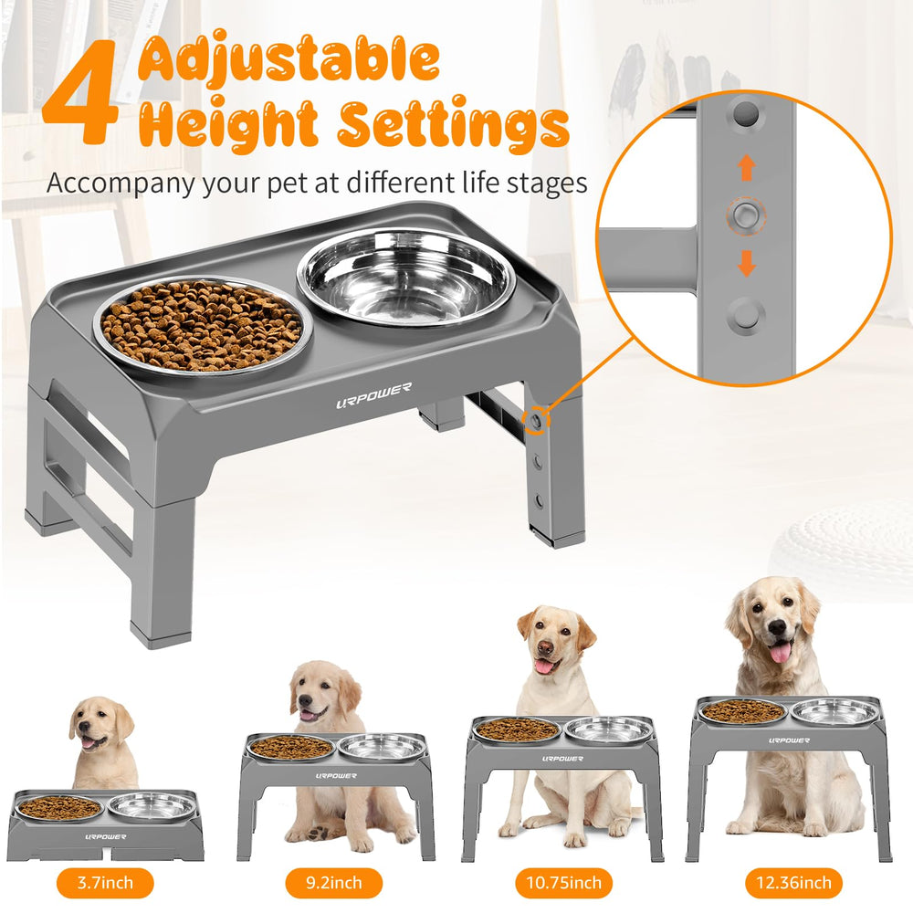 Elevated Dog Bowls 4 Height Adjustable Raised Dog Bowl with No Spill Edge 2 Thick 50oz Stainless Steel Dog Food & Water Bowl Non-Slip Dog Bowl Stand for Small Medium Large Dogs and Pets