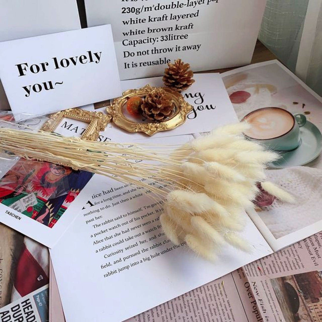 Natural Dried Bunny Tail Grass - 110~120 Stems Rabbit Tail Grass, Lagurus Ovatus for Boho Decor, Dried Pampas Grass Flower Arrangements Wedding Home Kitchen Office Decor (White)