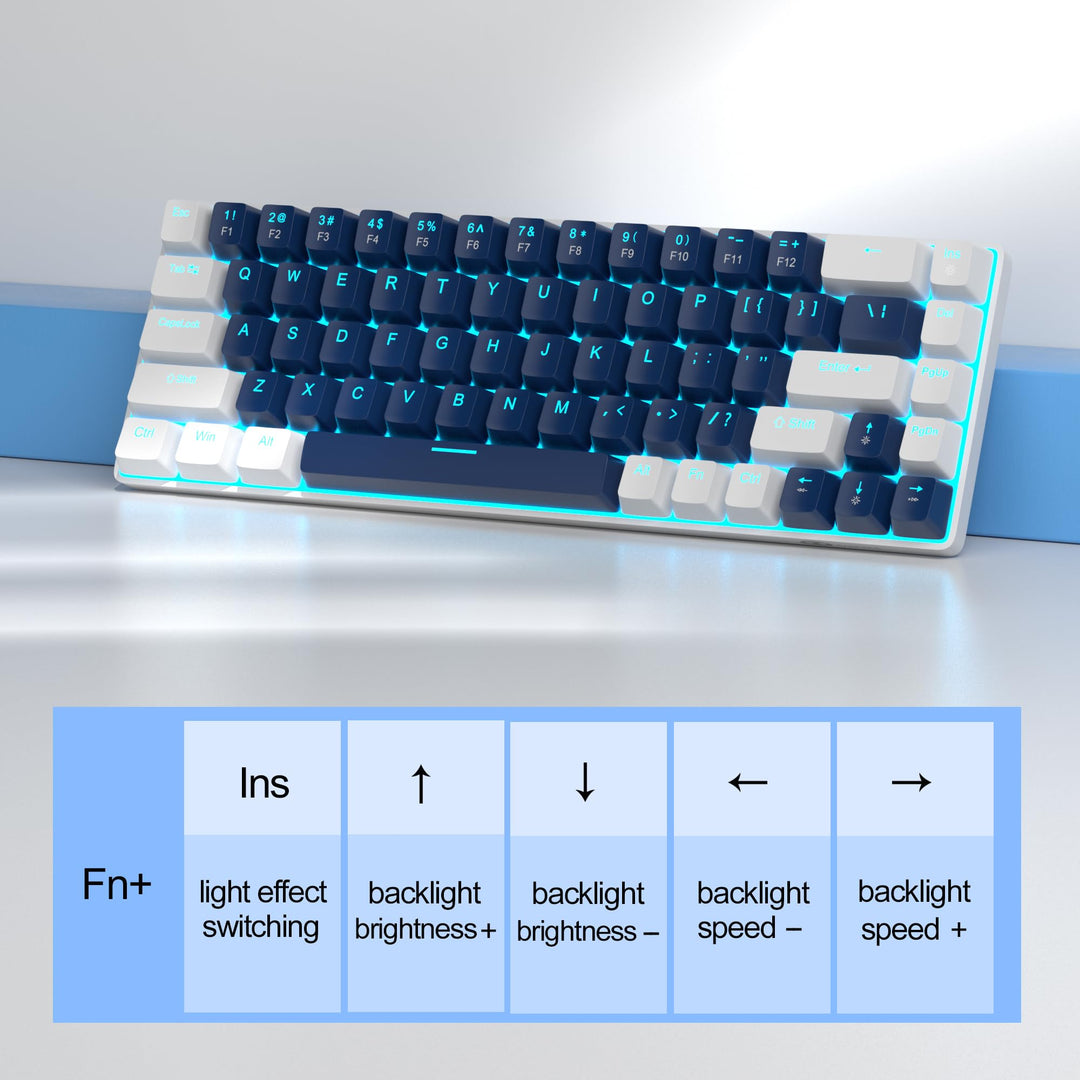 Portable 60% Mechanical Gaming Keyboard, MK-Box LED Backlit Compact 68 Keys Mini Wired Office Keyboard with Blue Switch for Windows Laptop PC Mac - Blue/White