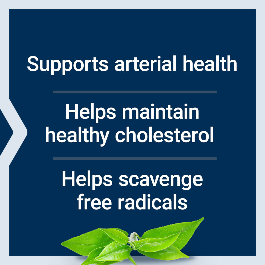 Theaflavin Standardized Extract – Tea Leaf Flavonoids, Arterial Health Support, Helps Maintain Already-Heathy Cholesterol – Gluten-Free, Non-GMO, Vegetarian – 30 Capsules