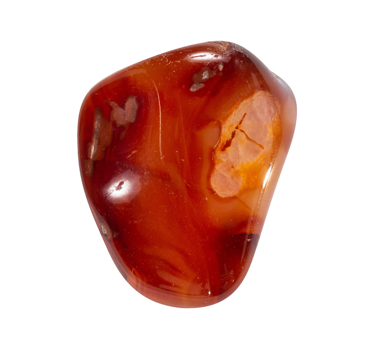 The Chrysalis Stone Tumbled Carnelian - Healing Stone, 