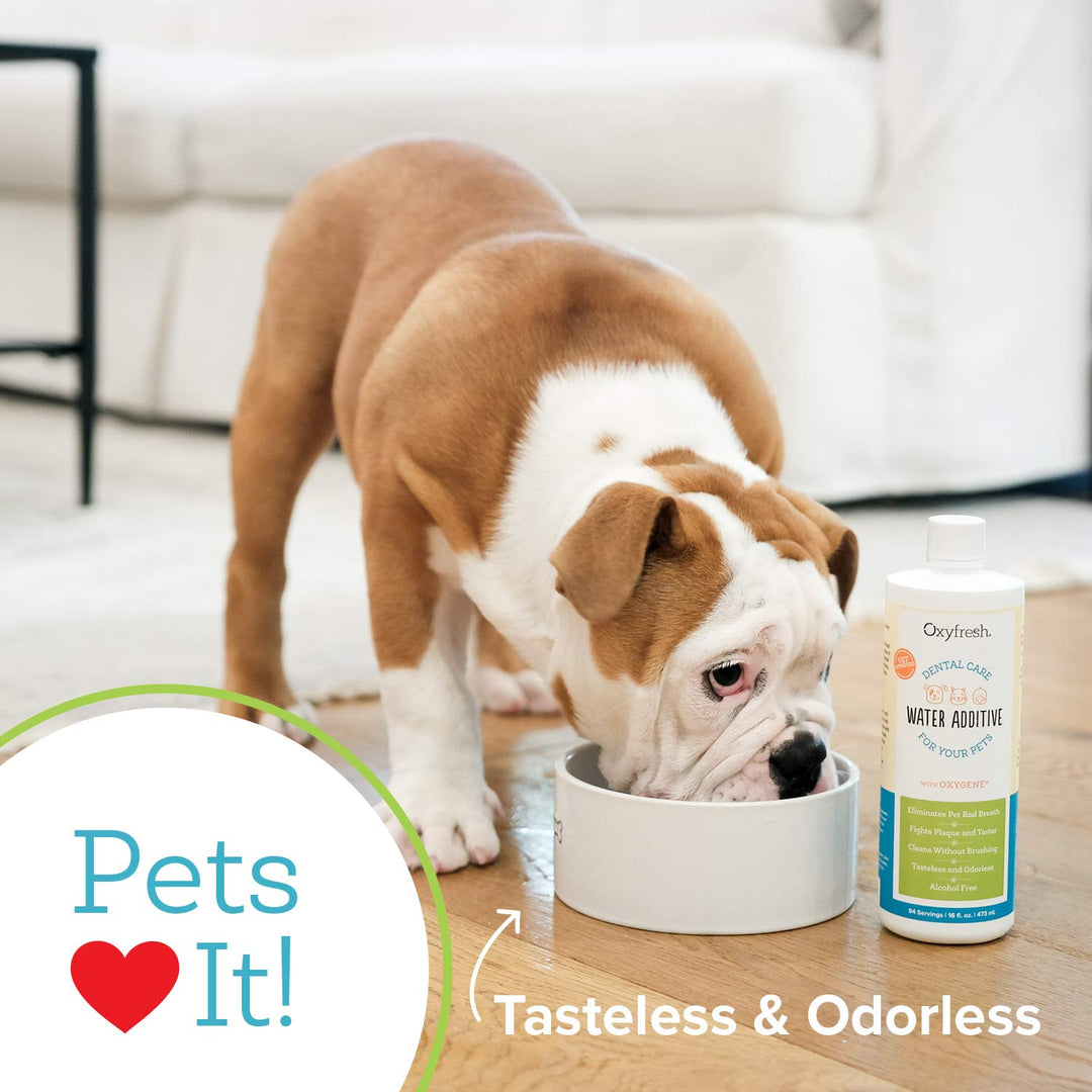 Oxyfresh Premium Pet Dental Care Solution Pet Water Add