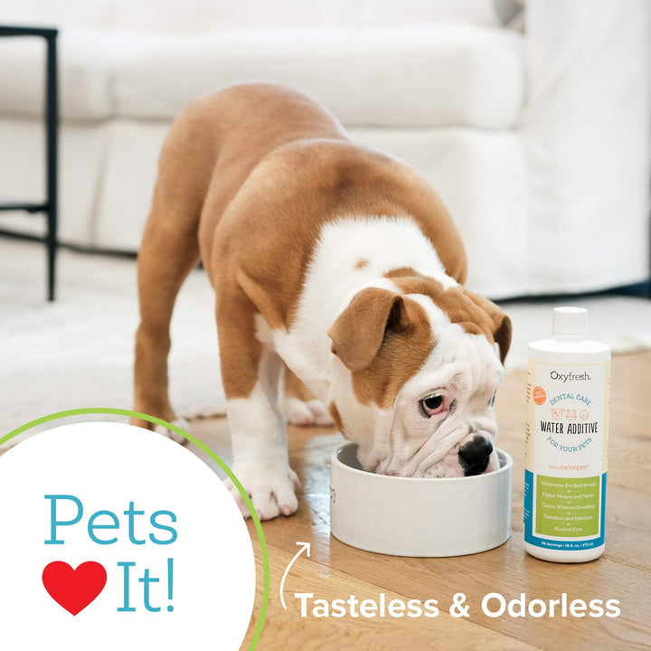 Oxyfresh Premium Pet Dental Care Solution Pet Water Add