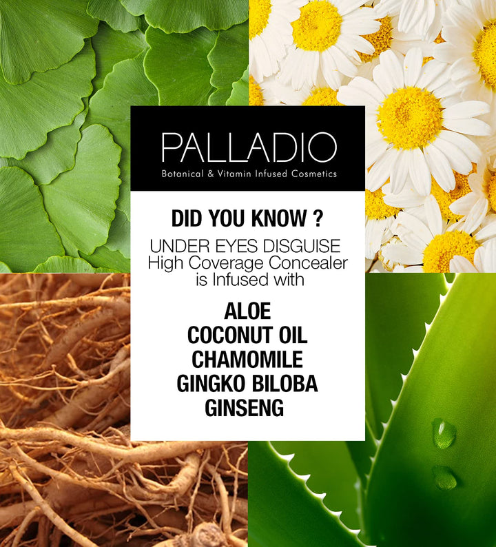 PALLADIO BEAUTY UNDER EYES DISGUISE CONCEALER - VANILLA LATTE, 10 g (0.35 oz)