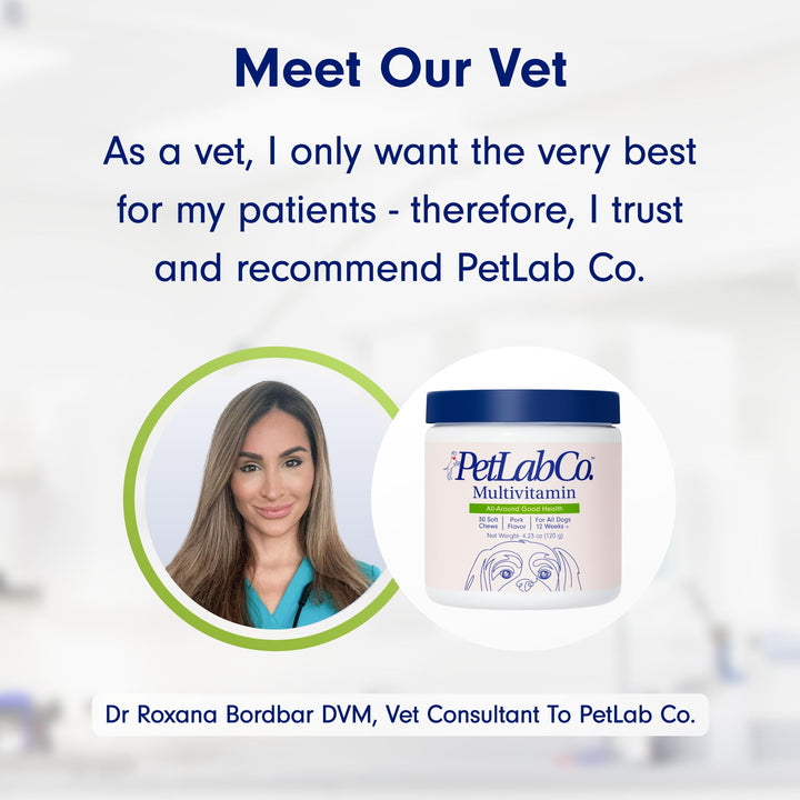 22 in 1 Dog Multivitamin - Support Dog&#39;s Immune Response, Skin, Coat, Joints &amp; Overall Health - Vitamins A, E, D, B12, Minerals, Antioxidants - Chewable Pork Flavor