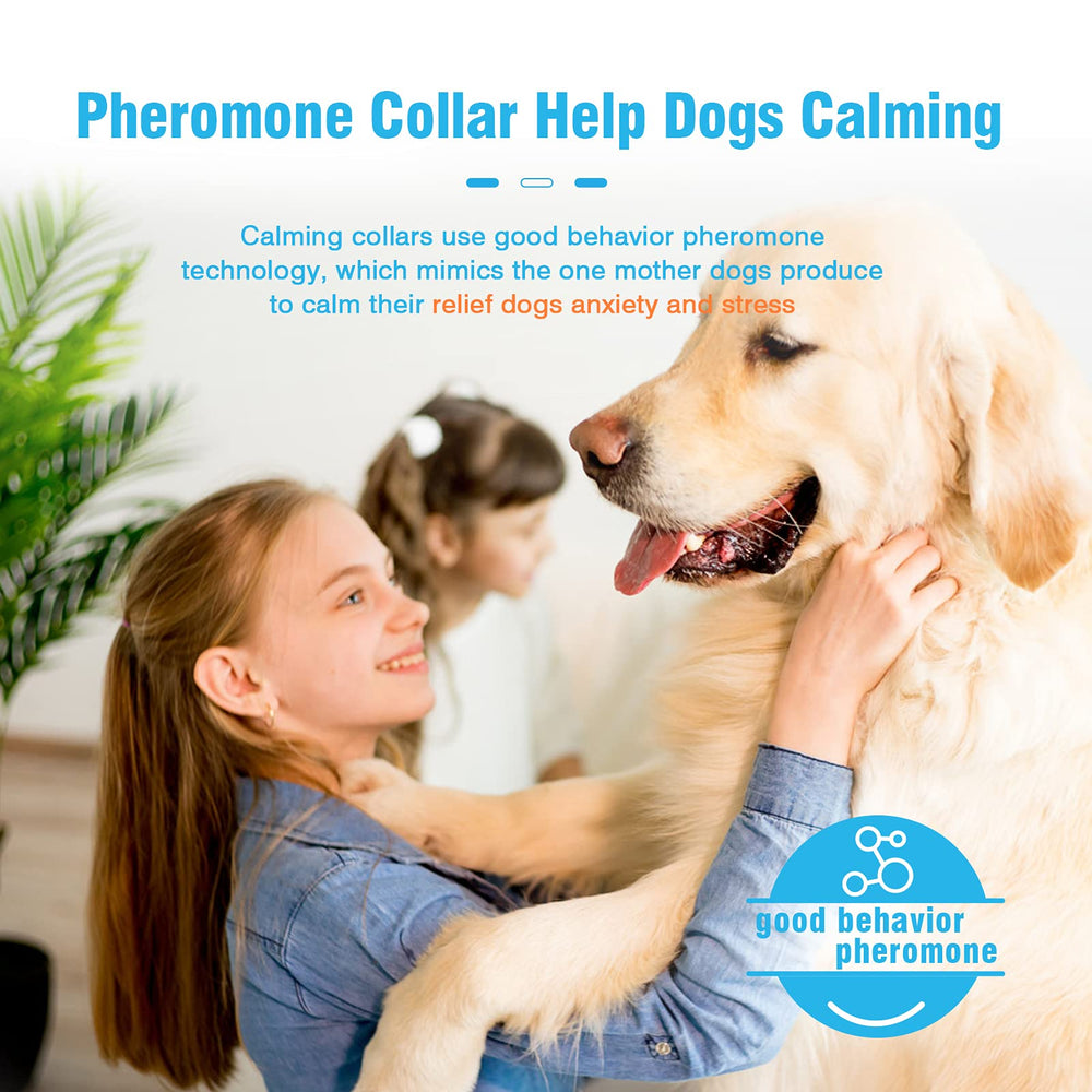 Calming Collar for Dogs 3 Packs Pheromone Collar Calm Anxiety Relief 60 Days Collar for Dog and Puppy Stress Reliever Relaxing Comfortable Collar Breakaway Design Gray Adjustable Size Up to 25 Inches