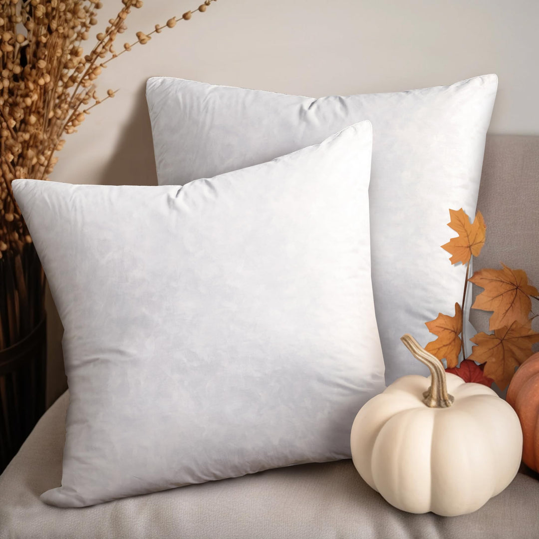 , 26x26 Feather Euro (2 Pack),Hypoallergenic European Sleep Pillow Inserts Sham Square Form, 2 Count (Pack of 1), White