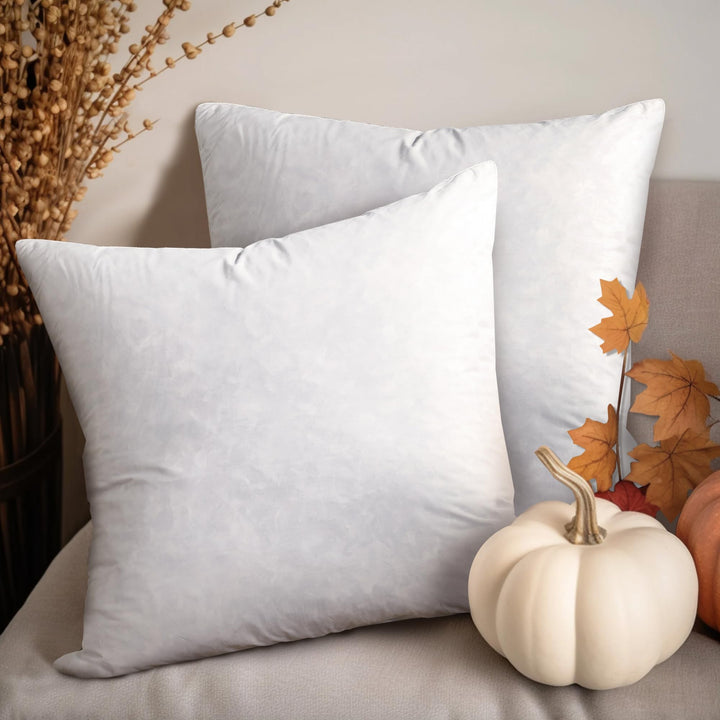 , 26x26 Feather Euro (2 Pack),Hypoallergenic European Sleep Pillow Inserts Sham Square Form, 2 Count (Pack of 1), White