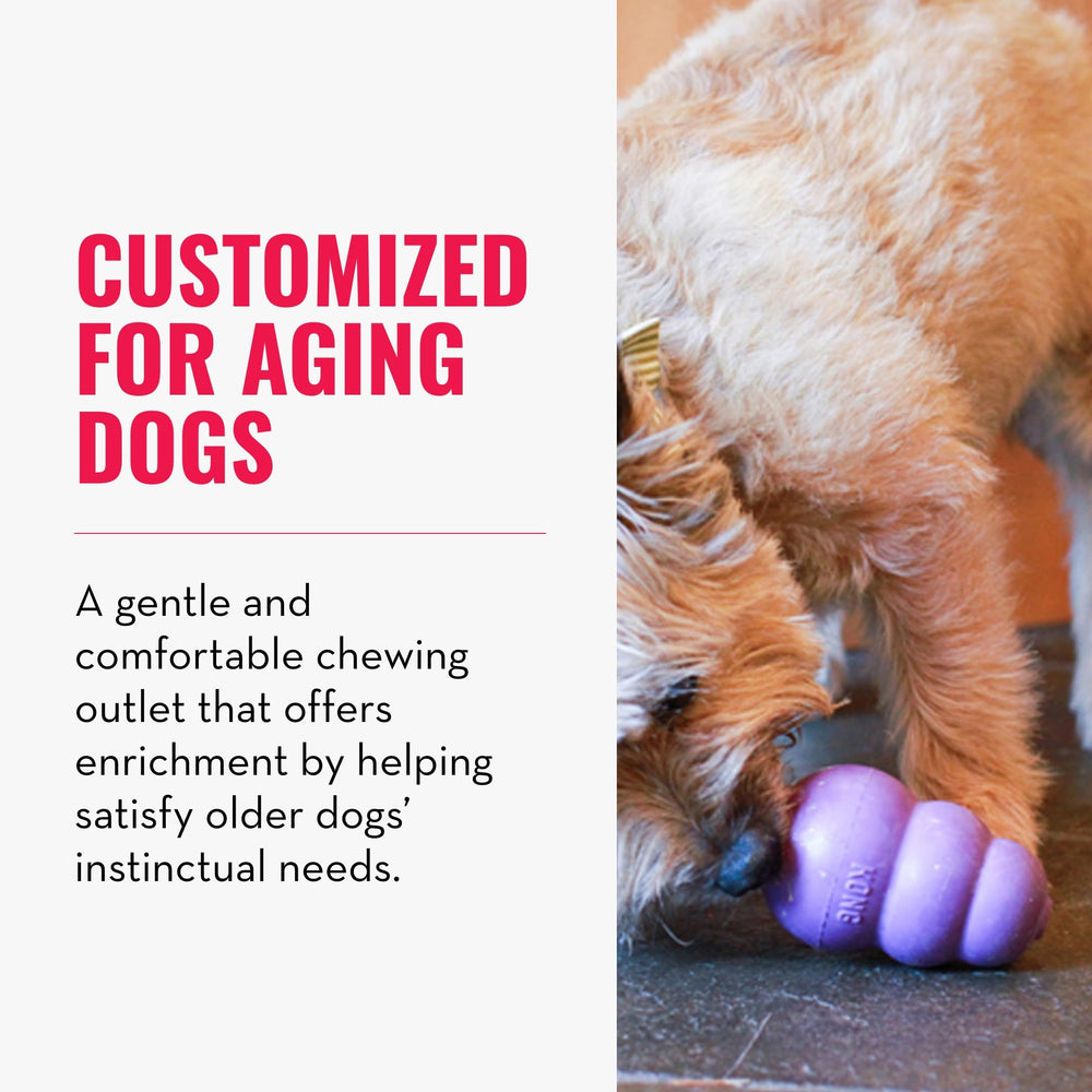 Senior - Dog Toy with Gentle, Natural Rubber - Durable Dog Toy for Older Dogs - Use Treats with Stuffable Chew Toy - Treat Toy for Chewing & Fetching - for Small Dogs