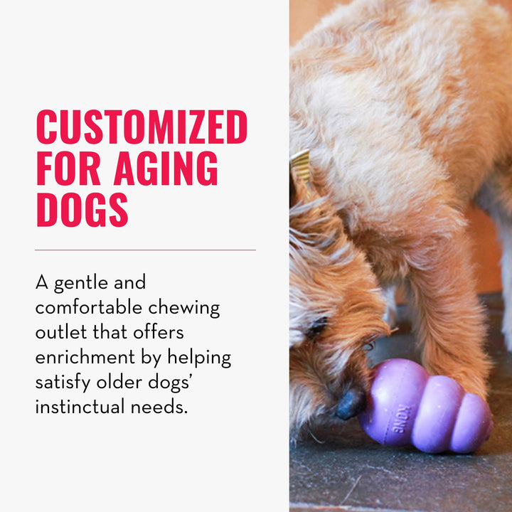 Senior - Dog Toy with Gentle, Natural Rubber - Durable Dog Toy for Older Dogs - Use Treats with Stuffable Chew Toy - Treat Toy for Chewing &amp; Fetching - for Small Dogs