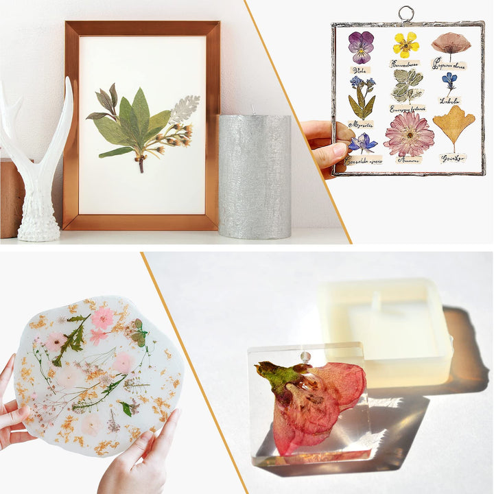 Microwave Flower Press, Quickly Flower Pressing Kit, 6.3 x 6.3 inch Microwave Flower Pressing Kit for Adults Fast Making Pressed Plant Specimen DIY Arts and Crafts